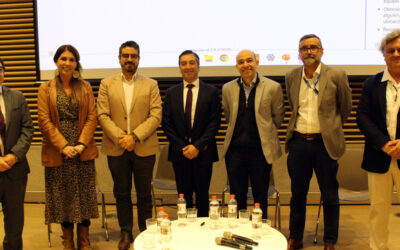 Directora del DIE participó del Seminario sobre desafíos normativos para un sistema eléctrico más robusto